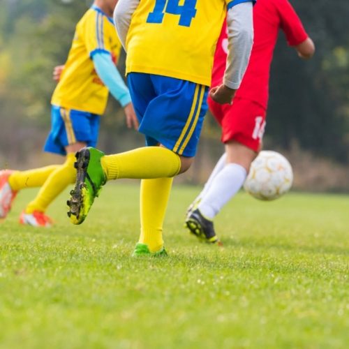 Actividades deportivas en Vacaciones de Invierno en Albardón