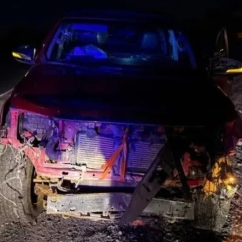 Fuerte choque entre una camioneta y unas cabras en la Ruta 20