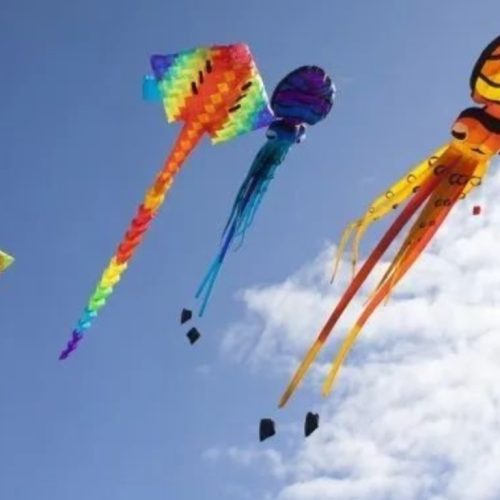 Festival de Barriletes en San Martín