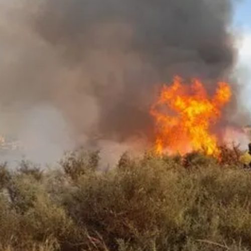 80 hectáreas afectadas por un incendio y casi arrasa con viviendas