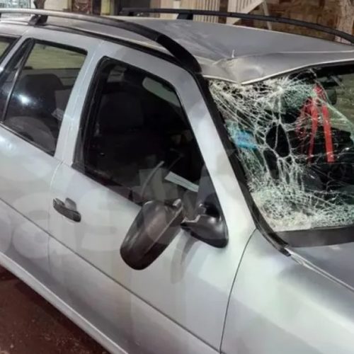 Un auto chocó contra un caballo en Ruta 20