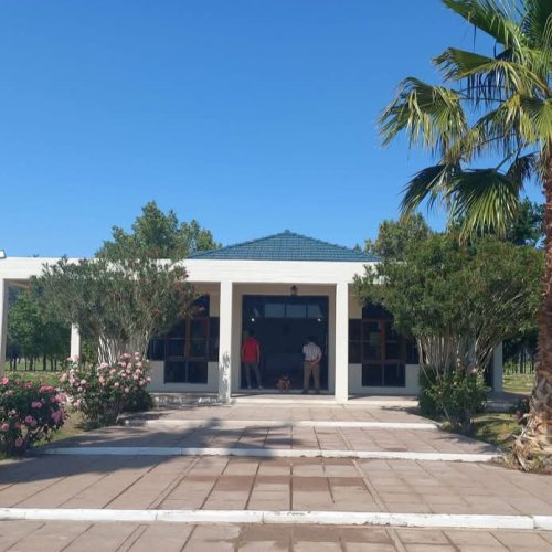 Día de la Madre: tres misas en 9 de Julio para honrar su memoria