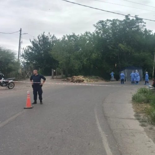 Siguió de largo en una curva, impactó contra un árbol y falleció
