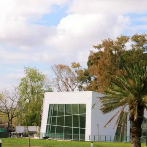 Llega el viento sur a San Juan