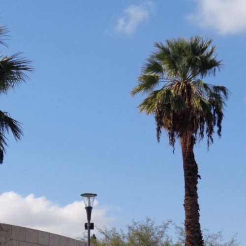 Temperaturas agradables para iniciar el fin de semana