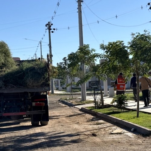 Limpieza integral y mantenimiento de luminarias en el barrio La Majadita