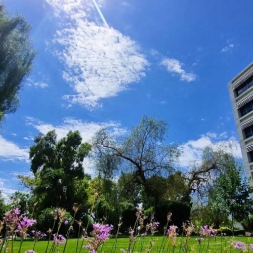 Lindo clima para hoy martes