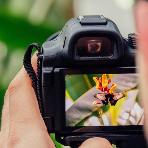 Rawson impulsa la creatividad con nuevos talleres gratuitos de cine y fotografía