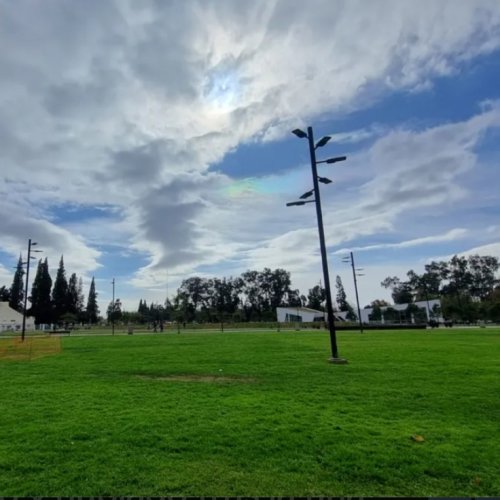 ¿Cómo estará el clima hoy día viernes?
