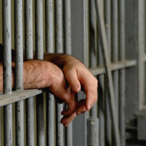 El hombre acusado de abusar de sus perros fue detenido