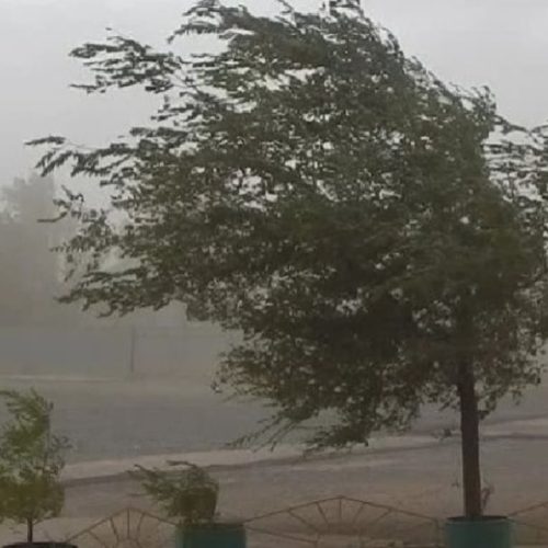 Emitieron un alerta por fuerte viento para la tarde y la noche del domingo