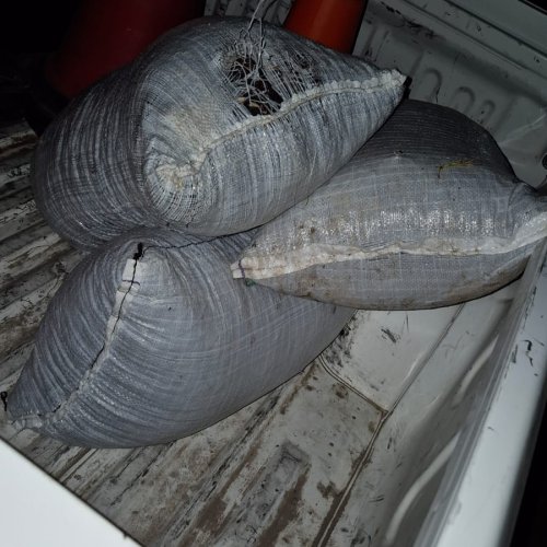 Detectaron un robo de pasas en Chacritas