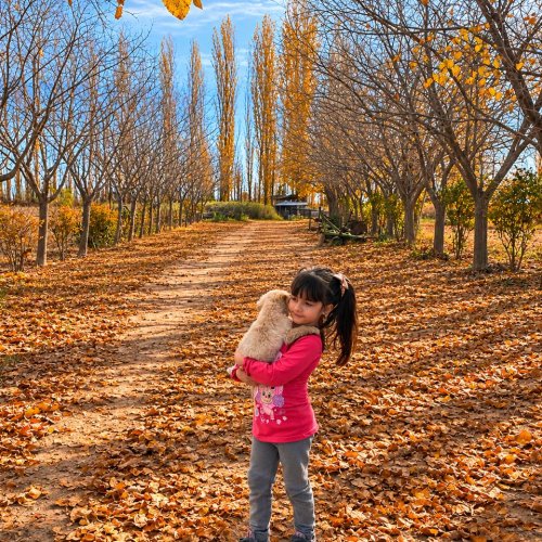 “Otoño cálido en San Juan”