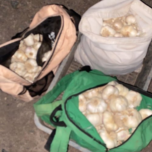 Robo de Ajos en Chacritas