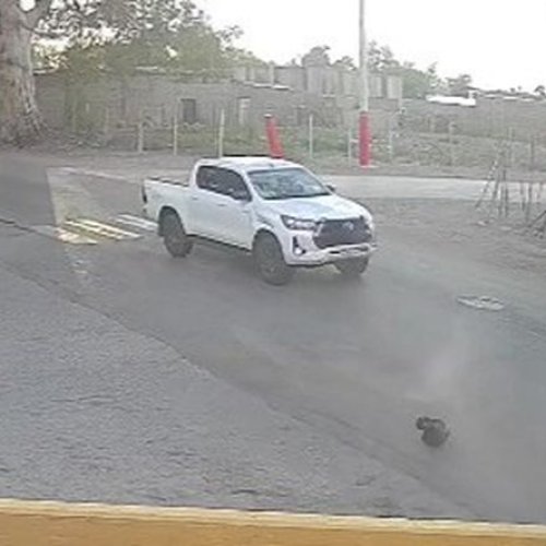 “Se entregó”