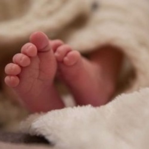 Un bebé de apenas horas de vida fue abandonado