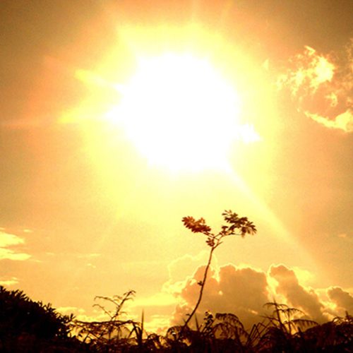 Alerta roja en la provincia por temperaturas extremas