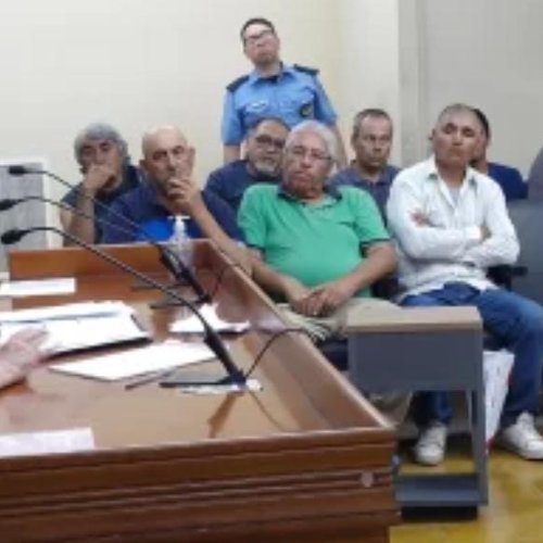 Organizaban riñas de gallos la justicia los detuvo y ahora deberán comprar 240 cajas de leche