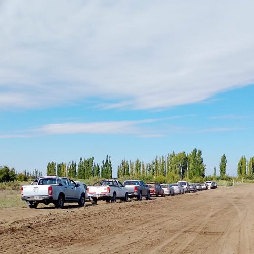 20 Personas organizaron una carrera clandestina de perros Galgos y fueron detenidos en plena apuesta