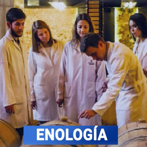 Gabriela es de 9 de Julio, fue beneficiada con una beca para continuar sus estudios en Chile pero no logra hablar con el Intendente Banega para que la ayude con el boleto