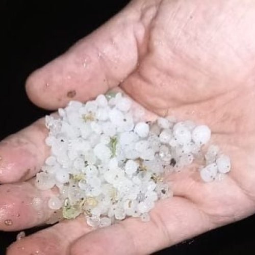 Cayó granizo en Calingasta