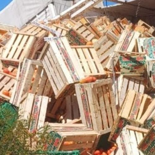 En Caucete, volcó un camión cargado con tomates