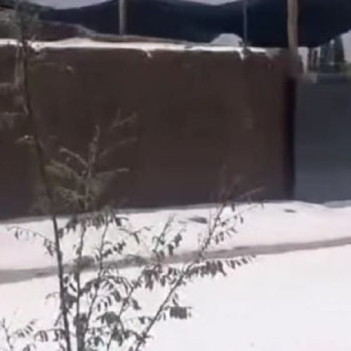 Iglesia: cayó granizo y todo se cubrió de blanco