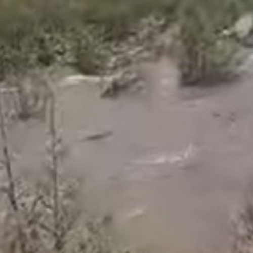 Las lluvias en Valle Fértil trajeron alivio ante la sequía