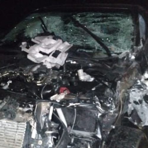 Una camioneta embistió a un caballo en Sarmiento