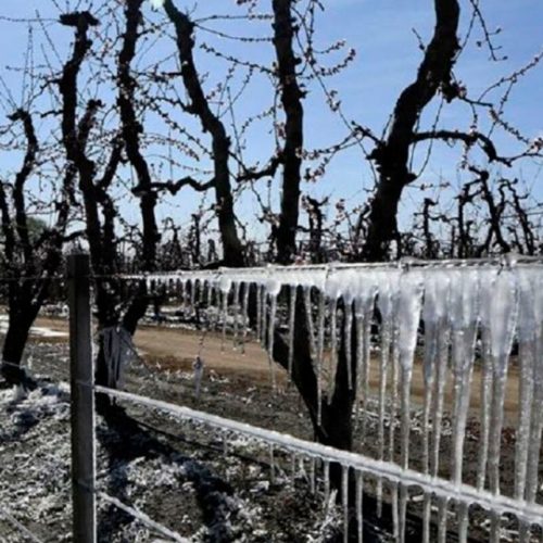 Se vienen las primeras heladas contundentes