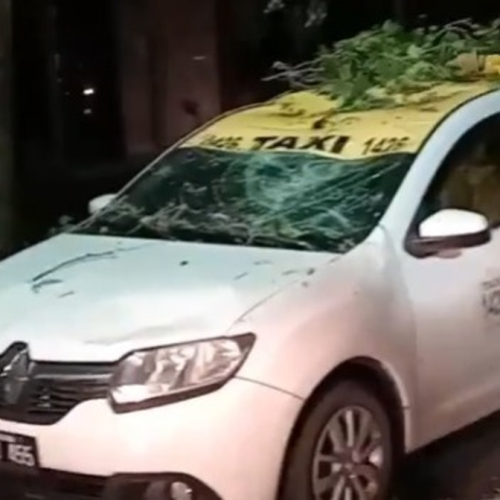 Una enorme rama cayó durante la lluvia y aplastó a un taxi