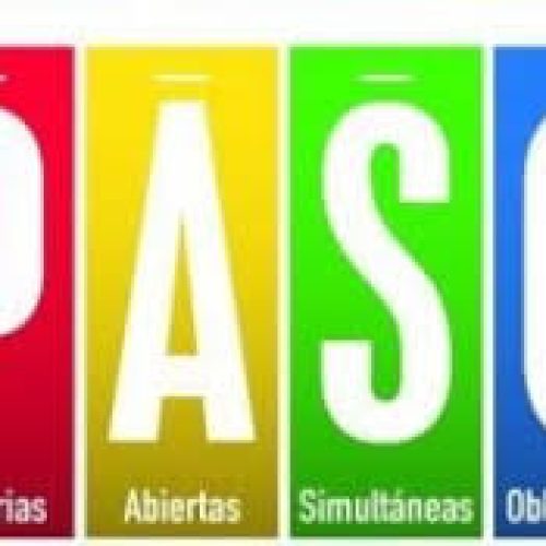 El Senado convirtió en ley la suspensión de las PASO 2025: ¿qué son y qué dice el texto aprobado?