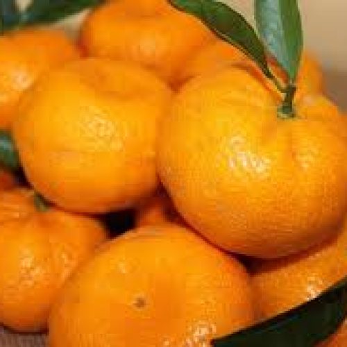 Para qué sirve secar las cáscaras de mandarinas al sol: 6 usos posibles