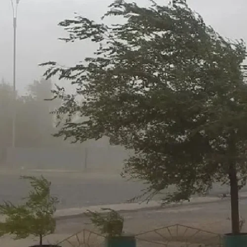 Fuerte viento Sur hará descender la temperatura