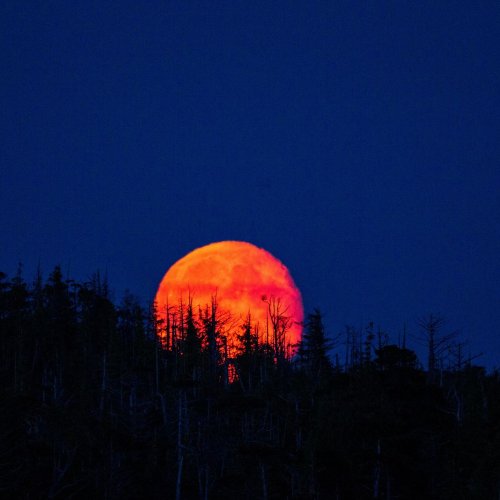 El 3 de marzo se podrá observar la primera Luna roja del 2026