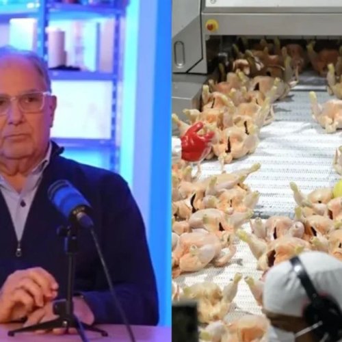 El mayor frigorífico avícola del país quedó al borde del cierre por la importación de pollo brasileño