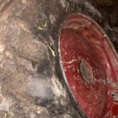 Robaron dos ruedas y un carro guanero de una finca