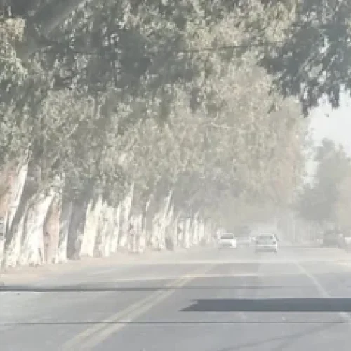 Alerta Amarilla por Viento Zonda