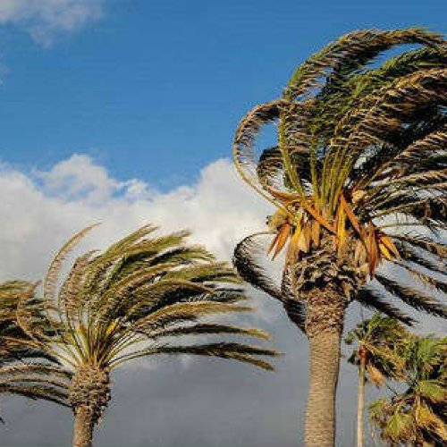 Alerta amarilla por fuertes vientos para este sábado en San Juan